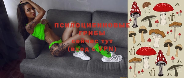 прущие крисы Инсар