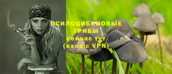a pvp Каменск-Шахтинский
