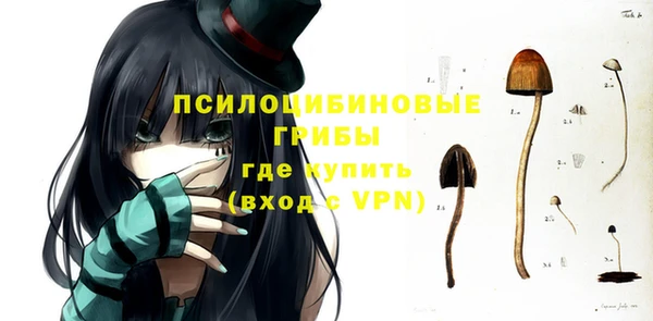 прущие крисы Инсар