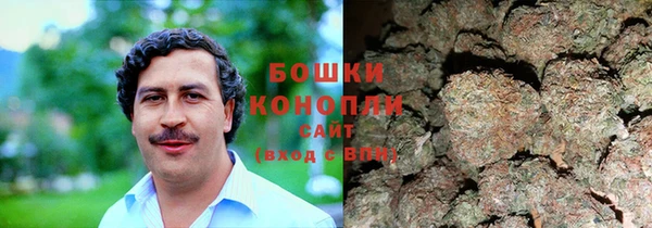 apvp Каменногорск