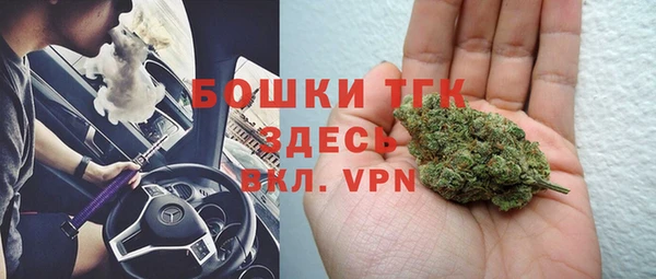прущие крисы Инсар