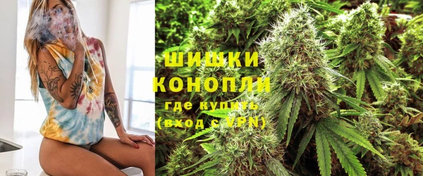 прущие крисы Инсар