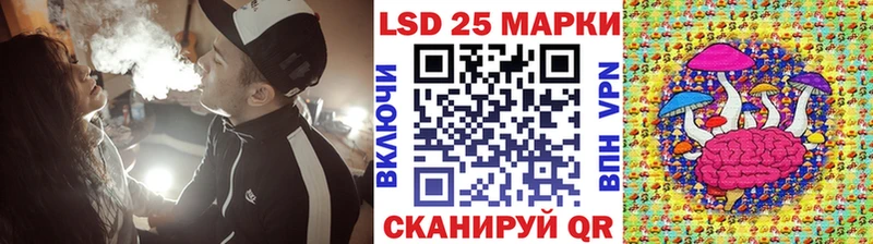 Купить  Судак  Марки NBOMe 1,8мг 