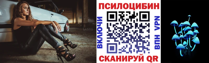 Псилоцибиновые грибы мицелий  Купить  Судак 